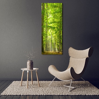 Canvas print Beech forest