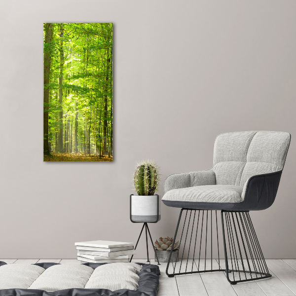 Canvas print Beech forest