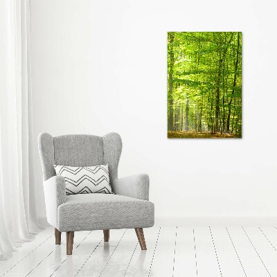 Canvas print Beech forest