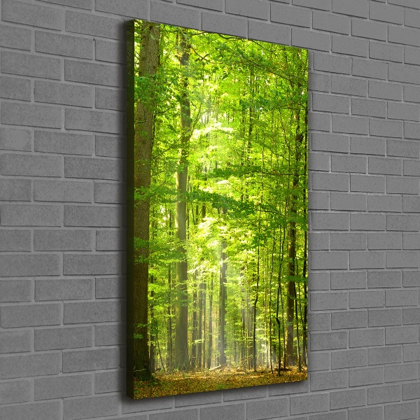 Canvas print Beech forest