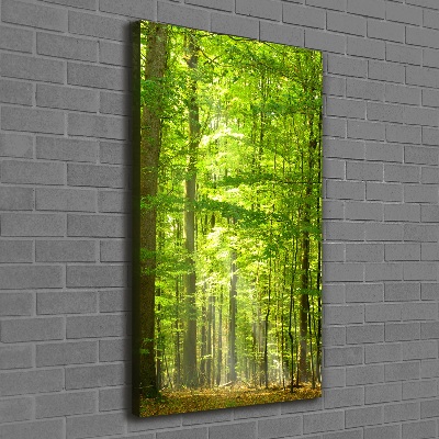 Canvas print Beech forest