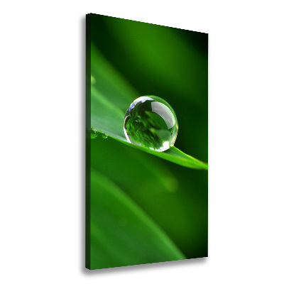 Large canvas wall art Blade of grass