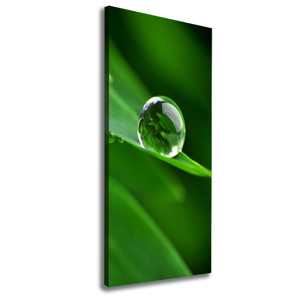 Large canvas wall art Blade of grass