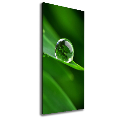 Large canvas wall art Blade of grass