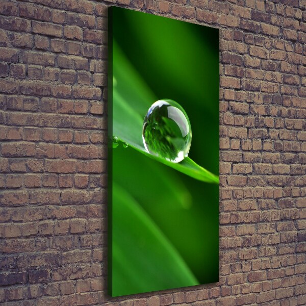 Large canvas wall art Blade of grass