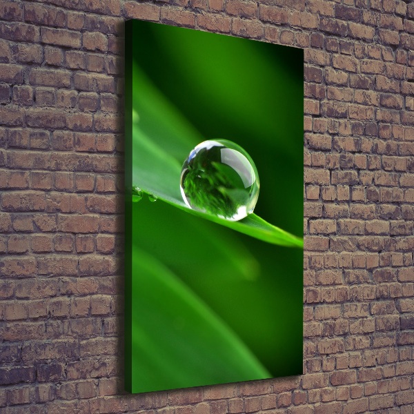 Large canvas wall art Blade of grass