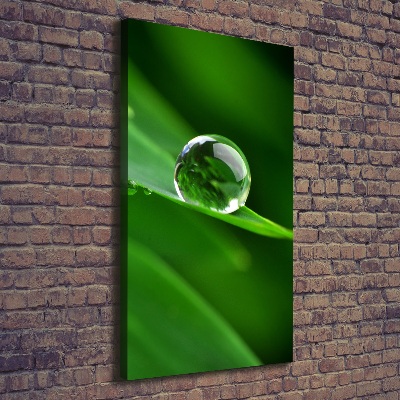 Large canvas wall art Blade of grass