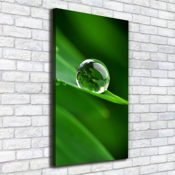 Large canvas wall art Blade of grass