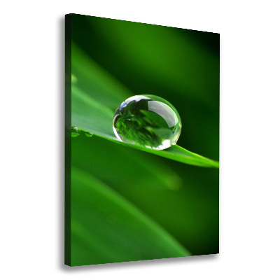 Large canvas wall art Blade of grass