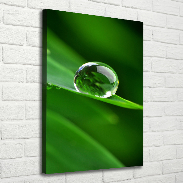 Large canvas wall art Blade of grass