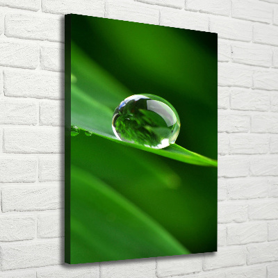 Large canvas wall art Blade of grass