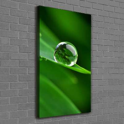 Large canvas wall art Blade of grass