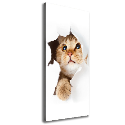 Large canvas wall art Cat