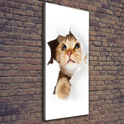 Large canvas wall art Cat