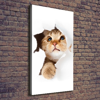 Large canvas wall art Cat