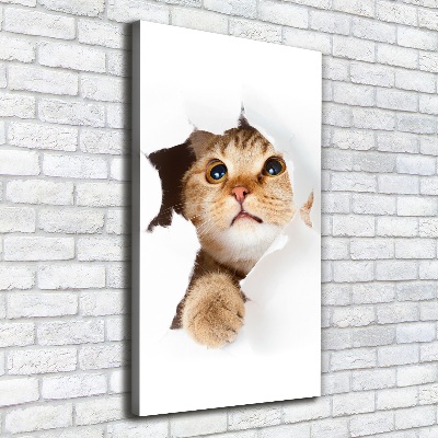 Large canvas wall art Cat