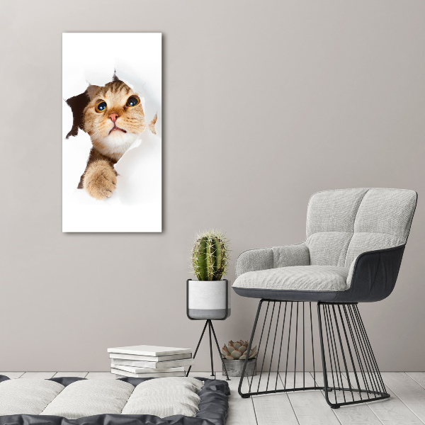 Large canvas wall art Cat