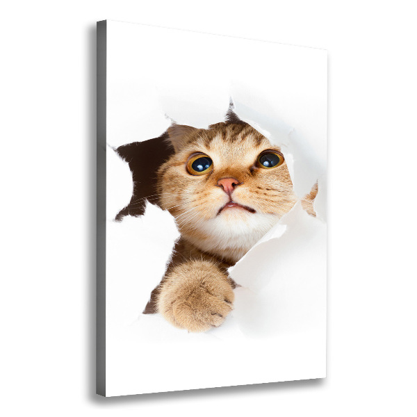 Large canvas wall art Cat