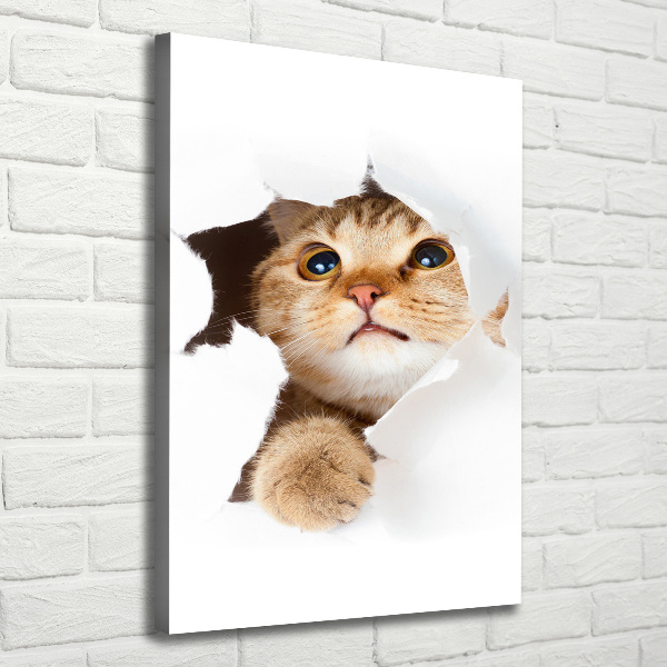 Large canvas wall art Cat