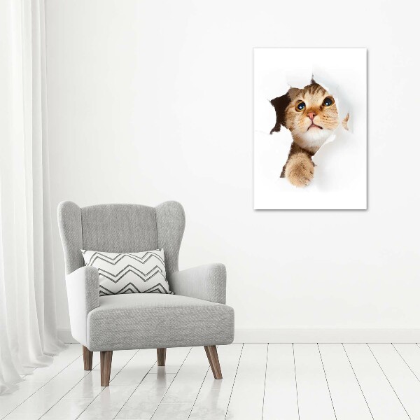 Large canvas wall art Cat