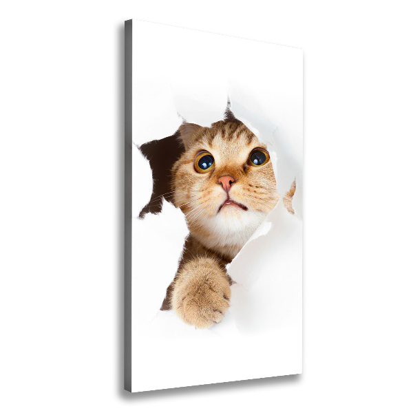 Large canvas wall art Cat