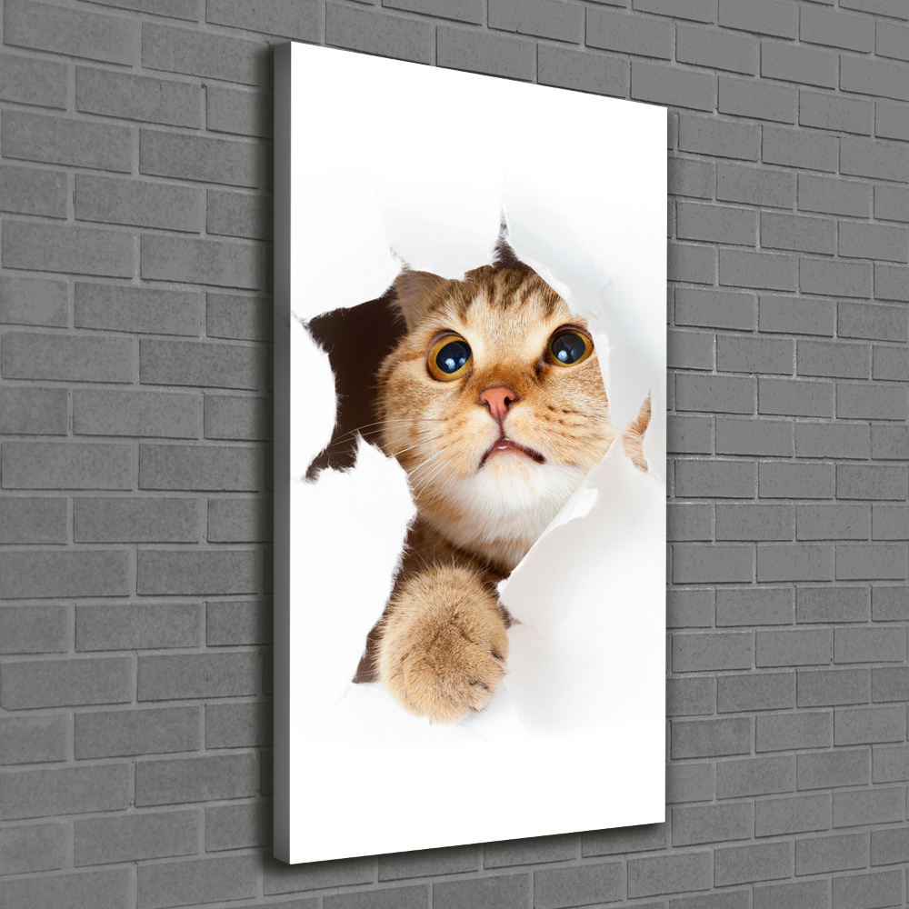 Large canvas wall art Cat