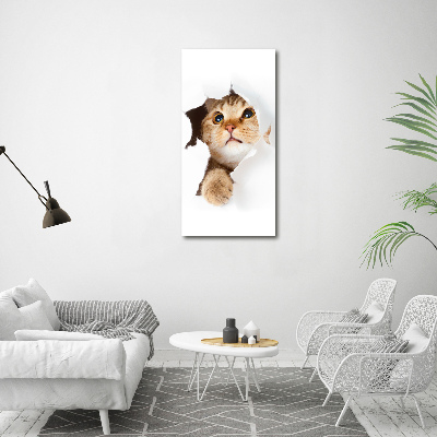 Large canvas wall art Cat