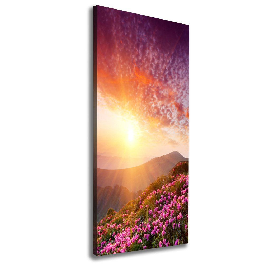 Canvas print Spring in the mountains