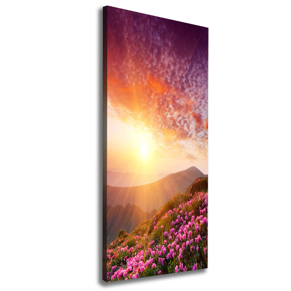 Canvas print Spring in the mountains