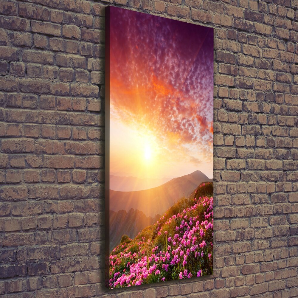 Canvas print Spring in the mountains