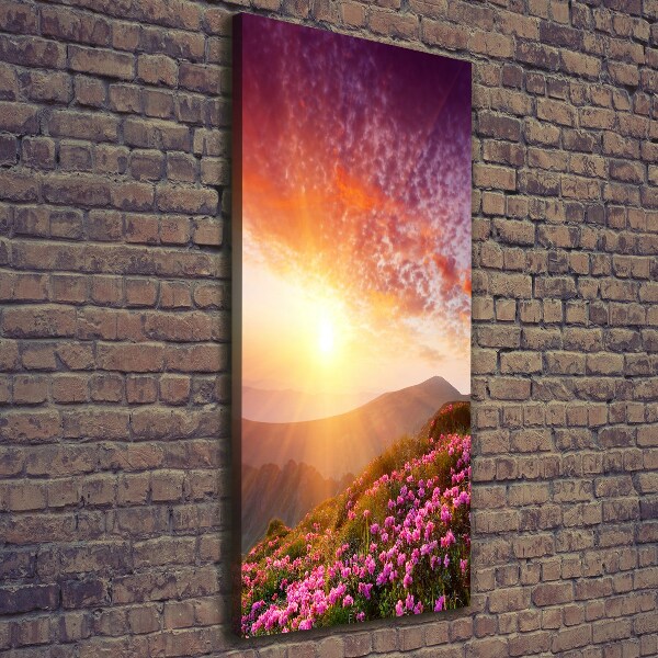 Canvas print Spring in the mountains