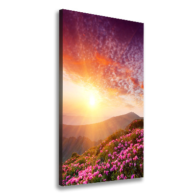 Canvas print Spring in the mountains