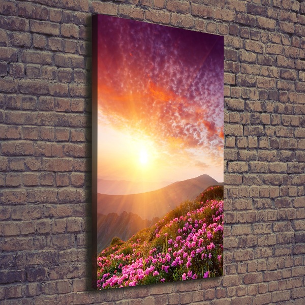 Canvas print Spring in the mountains