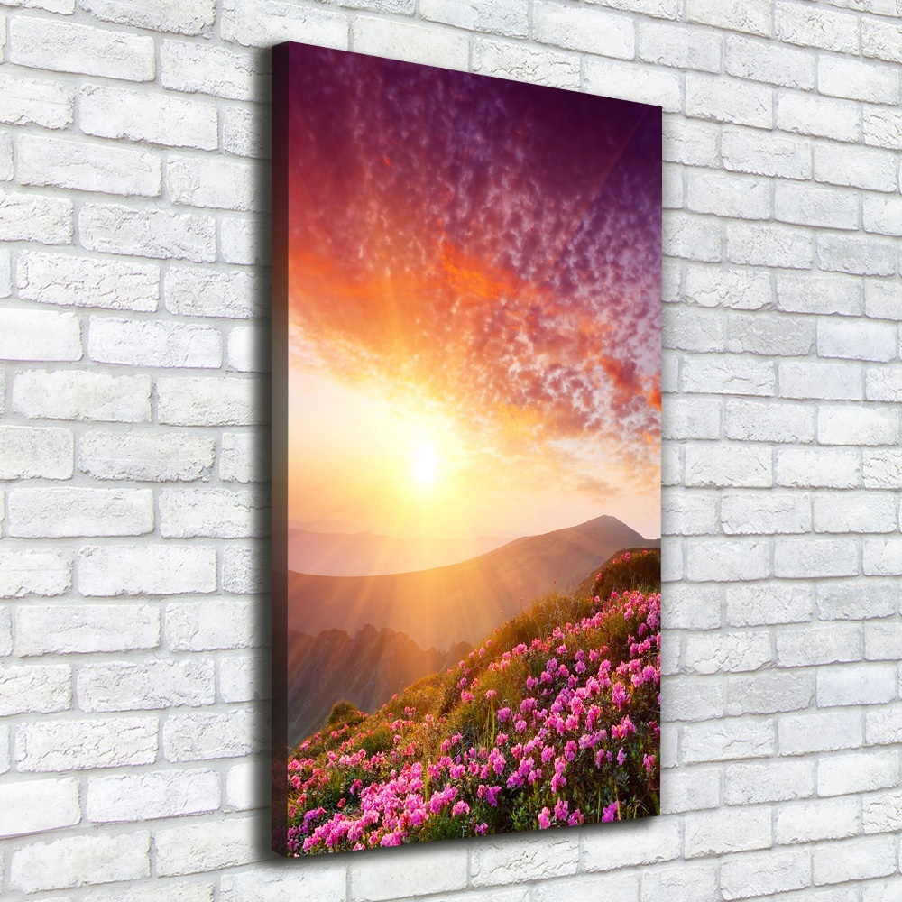 Canvas print Spring in the mountains