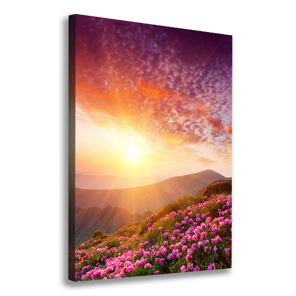 Canvas print Spring in the mountains