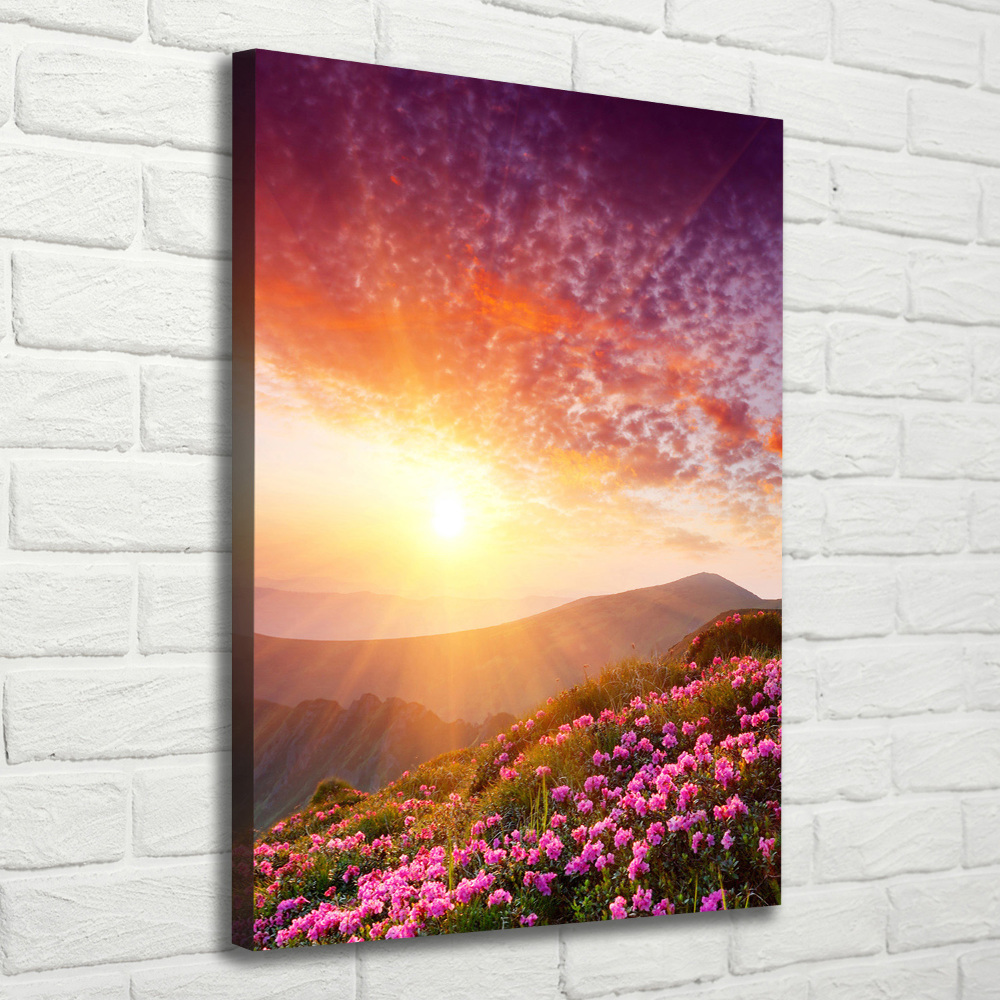 Canvas print Spring in the mountains