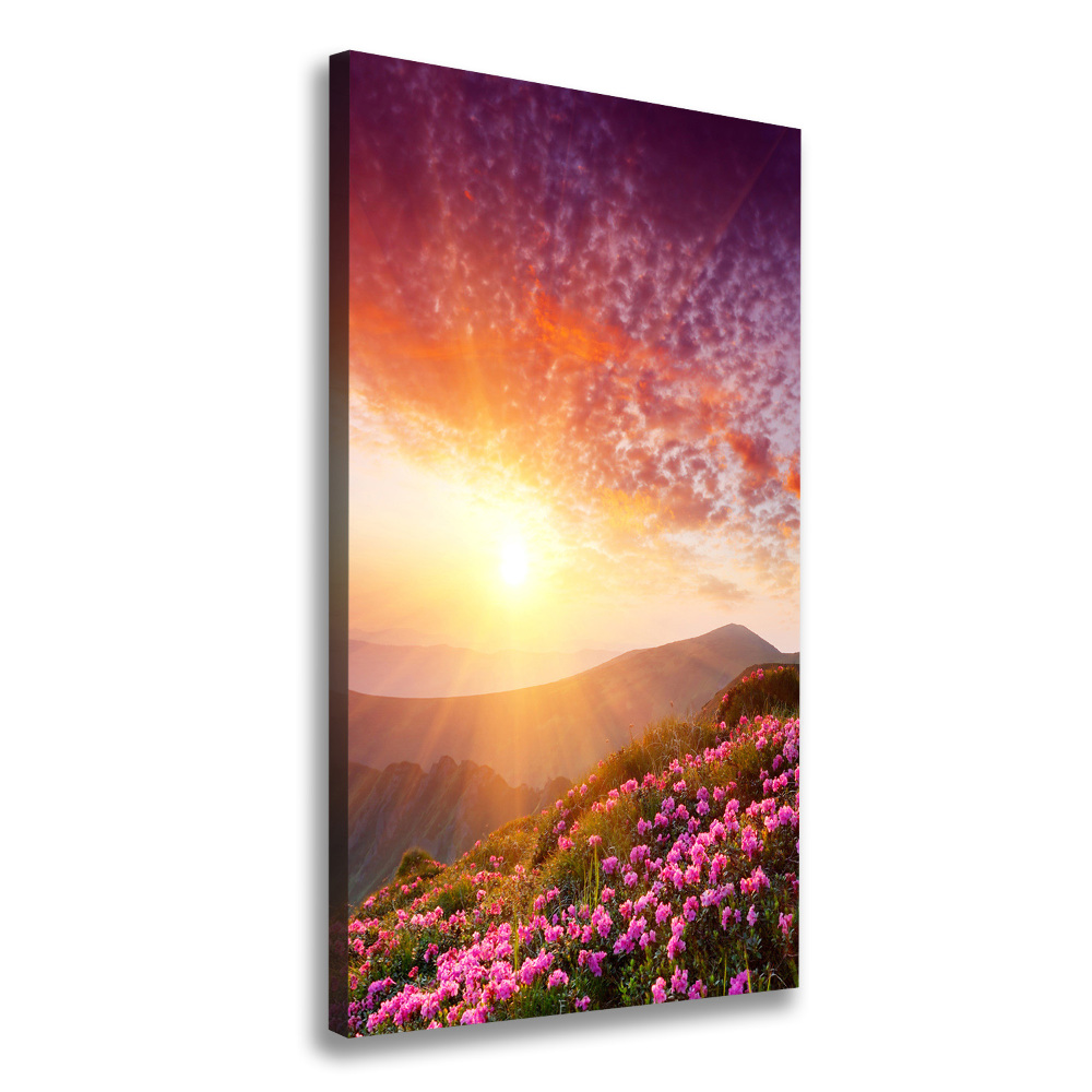 Canvas print Spring in the mountains