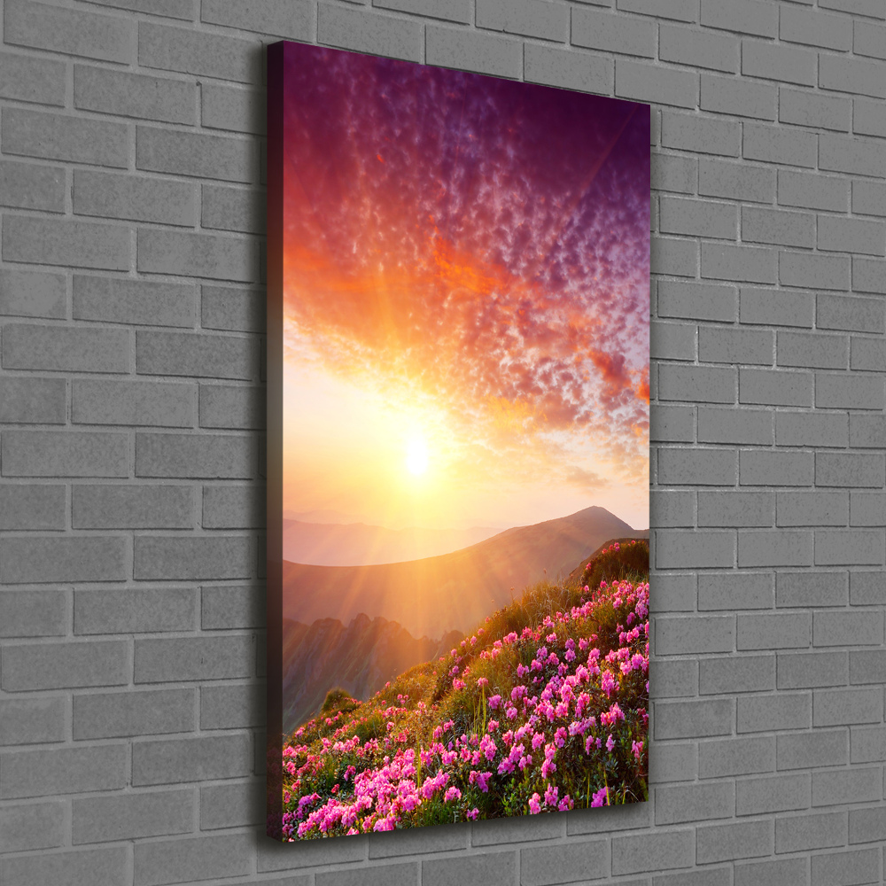 Canvas print Spring in the mountains