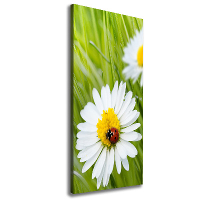 Large canvas wall art Daisy