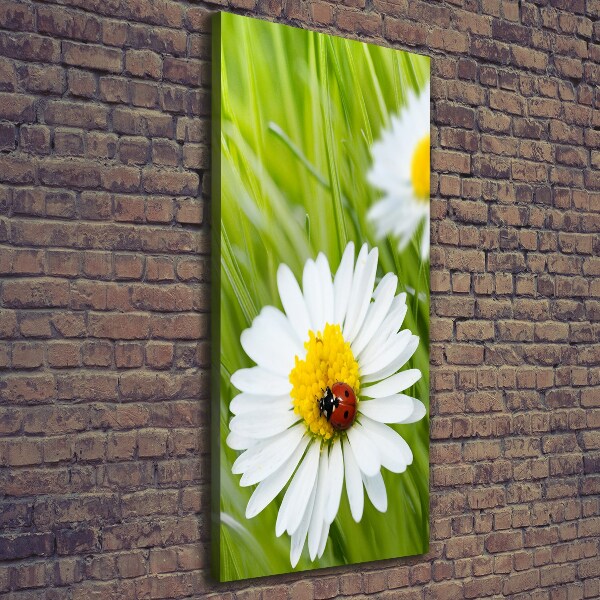 Large canvas wall art Daisy