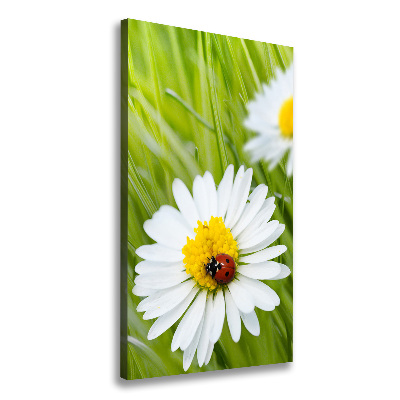 Large canvas wall art Daisy