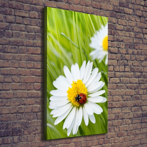 Large canvas wall art Daisy