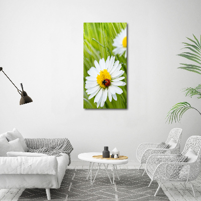 Large canvas wall art Daisy