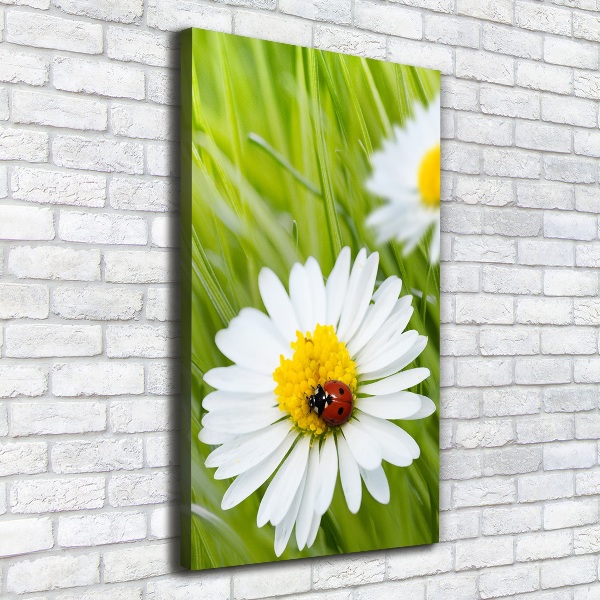 Large canvas wall art Daisy