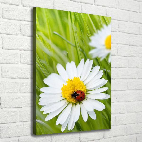 Large canvas wall art Daisy