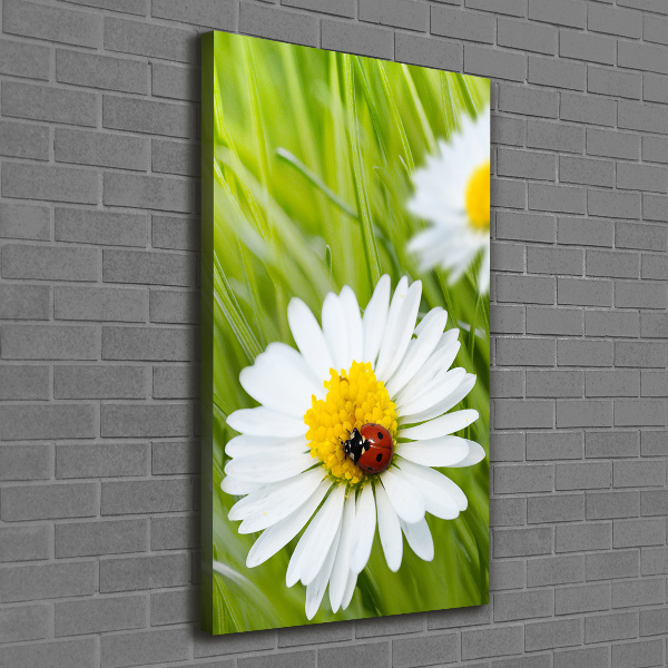 Large canvas wall art Daisy