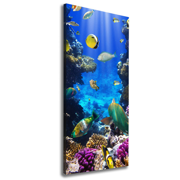 Canvas print Coral reef