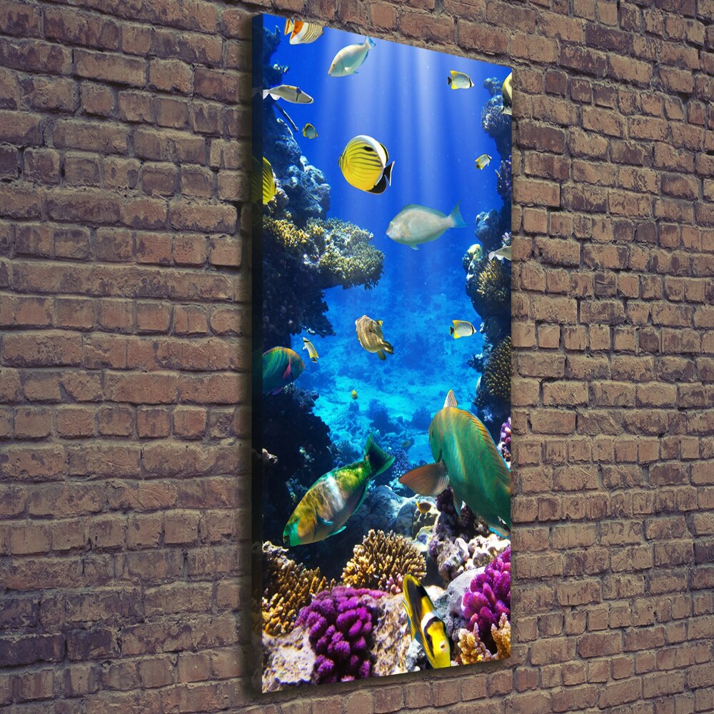 Canvas print Coral reef