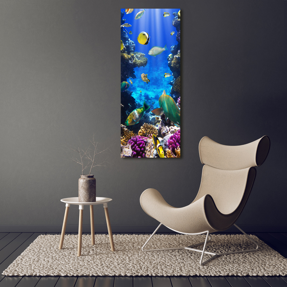 Canvas print Coral reef