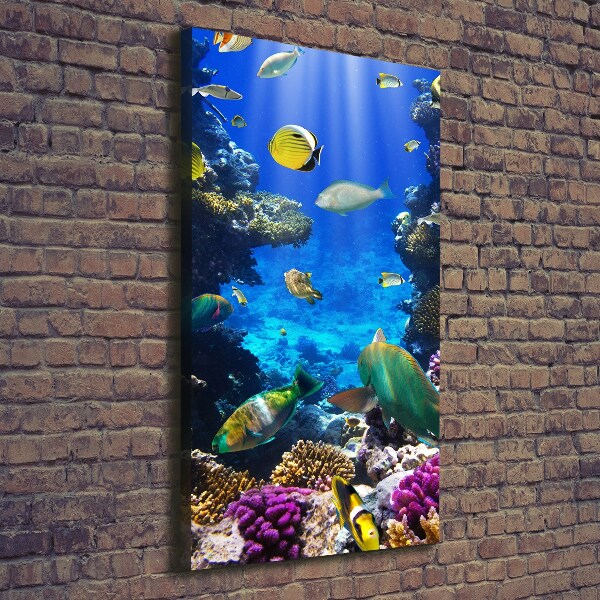 Canvas print Coral reef